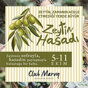 Zeytin Hasadı