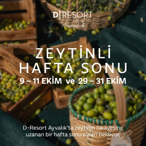 Zeytin Hasadı